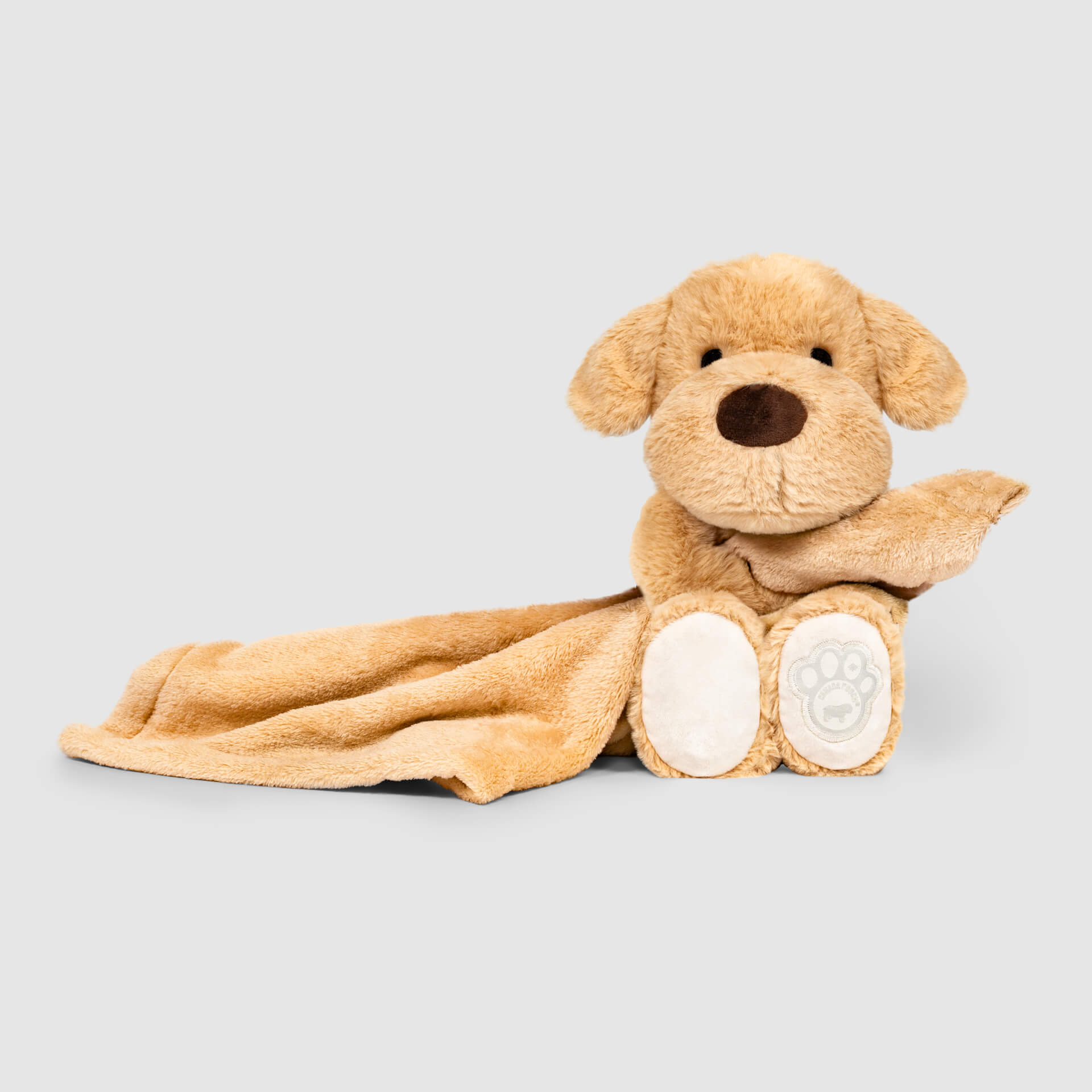 Weighted Calming Toy P2