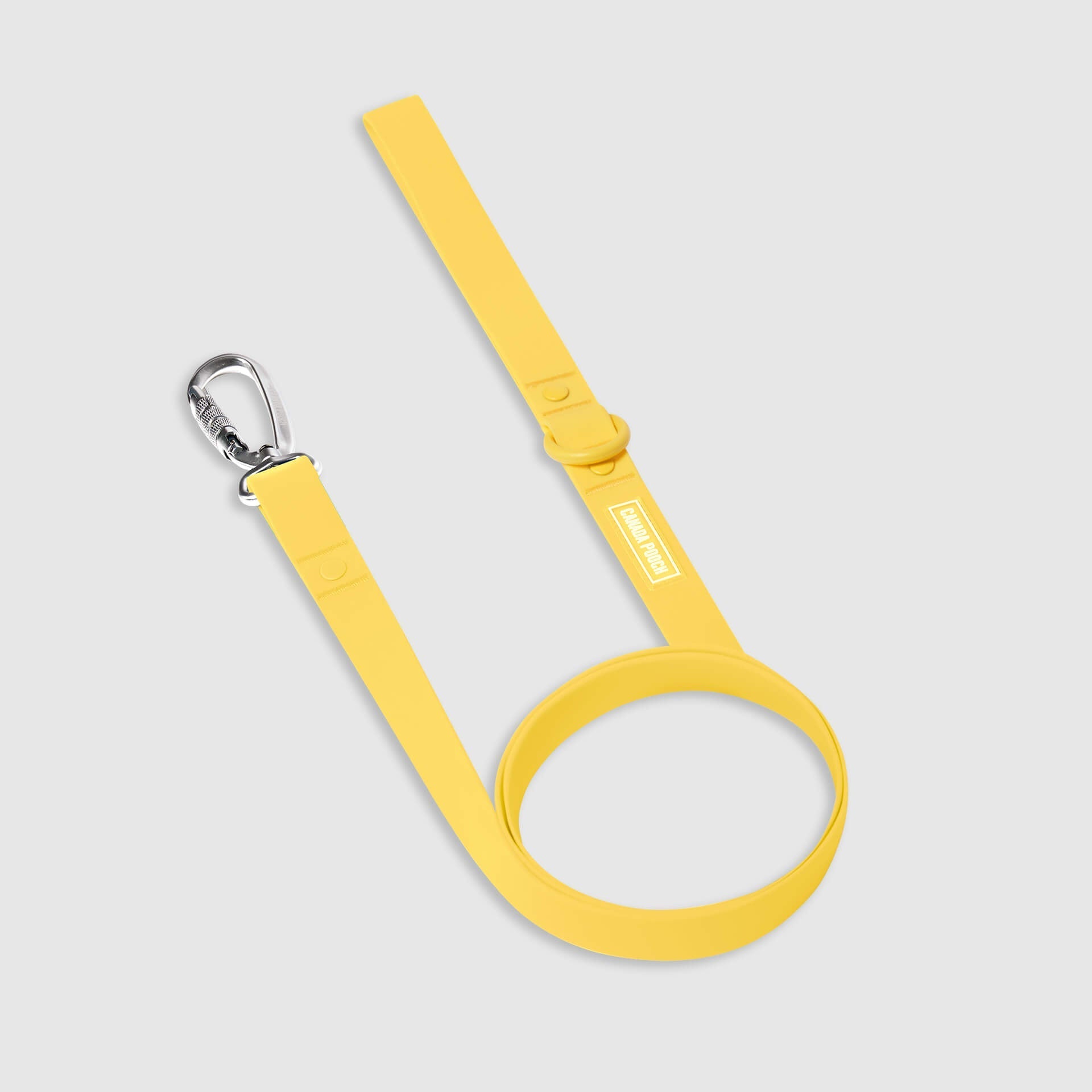 Waterproof Leash F2